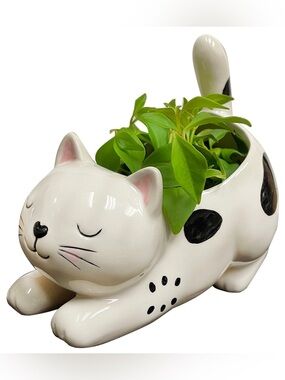 Streamline Imagined Raise Your Bum Kitty Planter Ceramic Whimsy